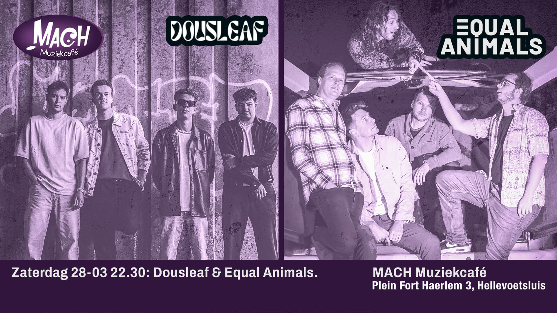 Dousleaf en Equal Animals